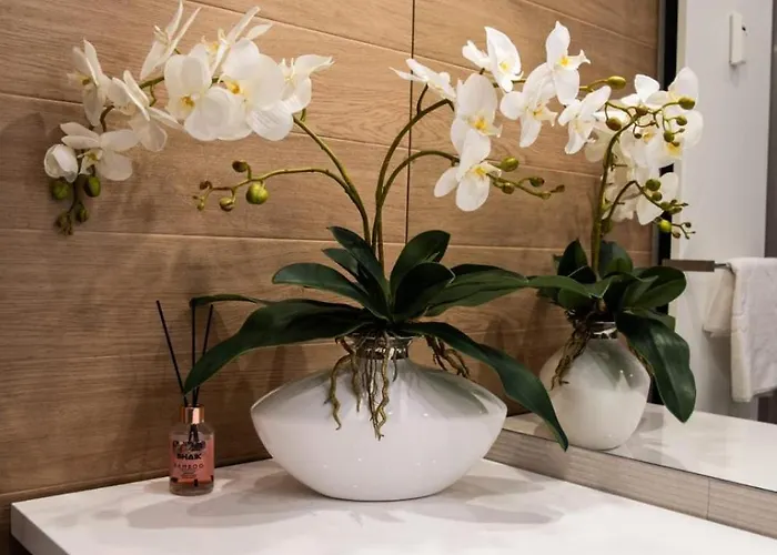 Appartamento Meta Kołobrzeg